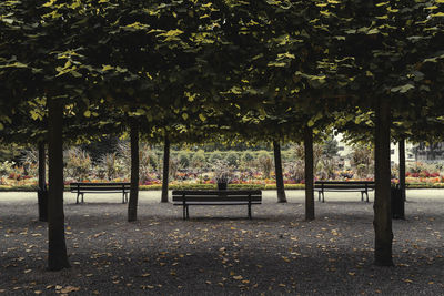 Empty bench in park during autumn