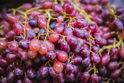 Extreme close-up of black grapes