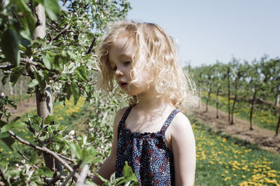 Cute girl looking at plants growing on field during sunny day