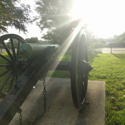 Sun shining through trees