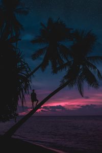 Silhouette person on palm tree at beach against sky during sunset