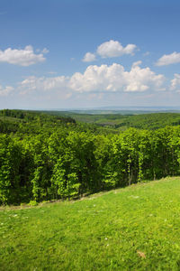 Scenic view of field against cloudy sky