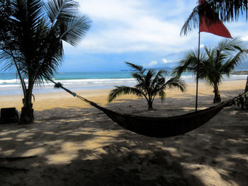 Palm trees on beach against sky