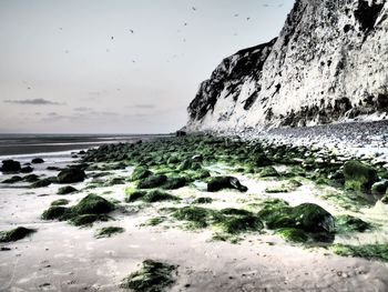 Rocks on beach against sky