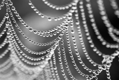 Full frame shot of raindrops on leaf