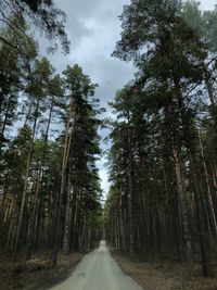 Road amidst trees in forest against sky