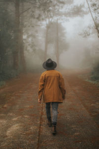 Rear view of man walking on footpath in forest