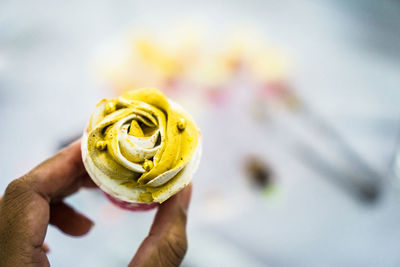 Close-up of person holding ice cream