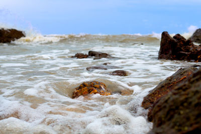 Scenic view of sea