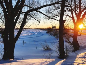 Scenic view of bare trees against sky during sunset