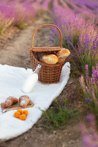 High angle view of breakfast on table