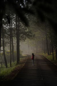 Rear view of man walking on footpath in forest