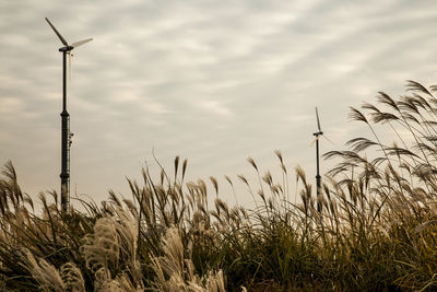 Low angle view of windmill on field against sky