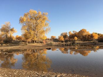 Reflection of trees in lake against sky during autumn