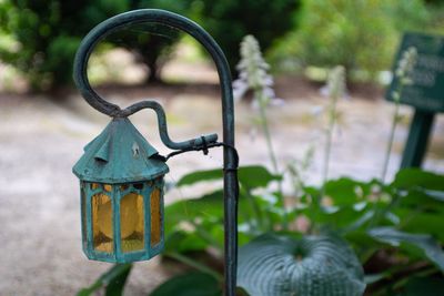 Close-up of bicycle hanging on plant in park