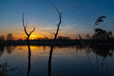 Silhouette trees by lake against sky during sunset