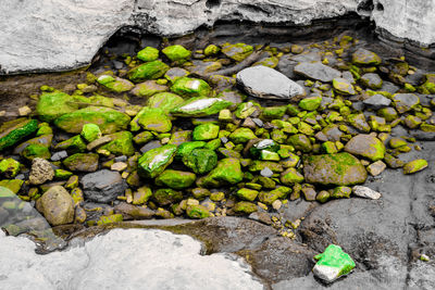 Close-up of rocks