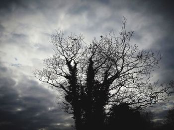 Low angle view of bare trees against cloudy sky