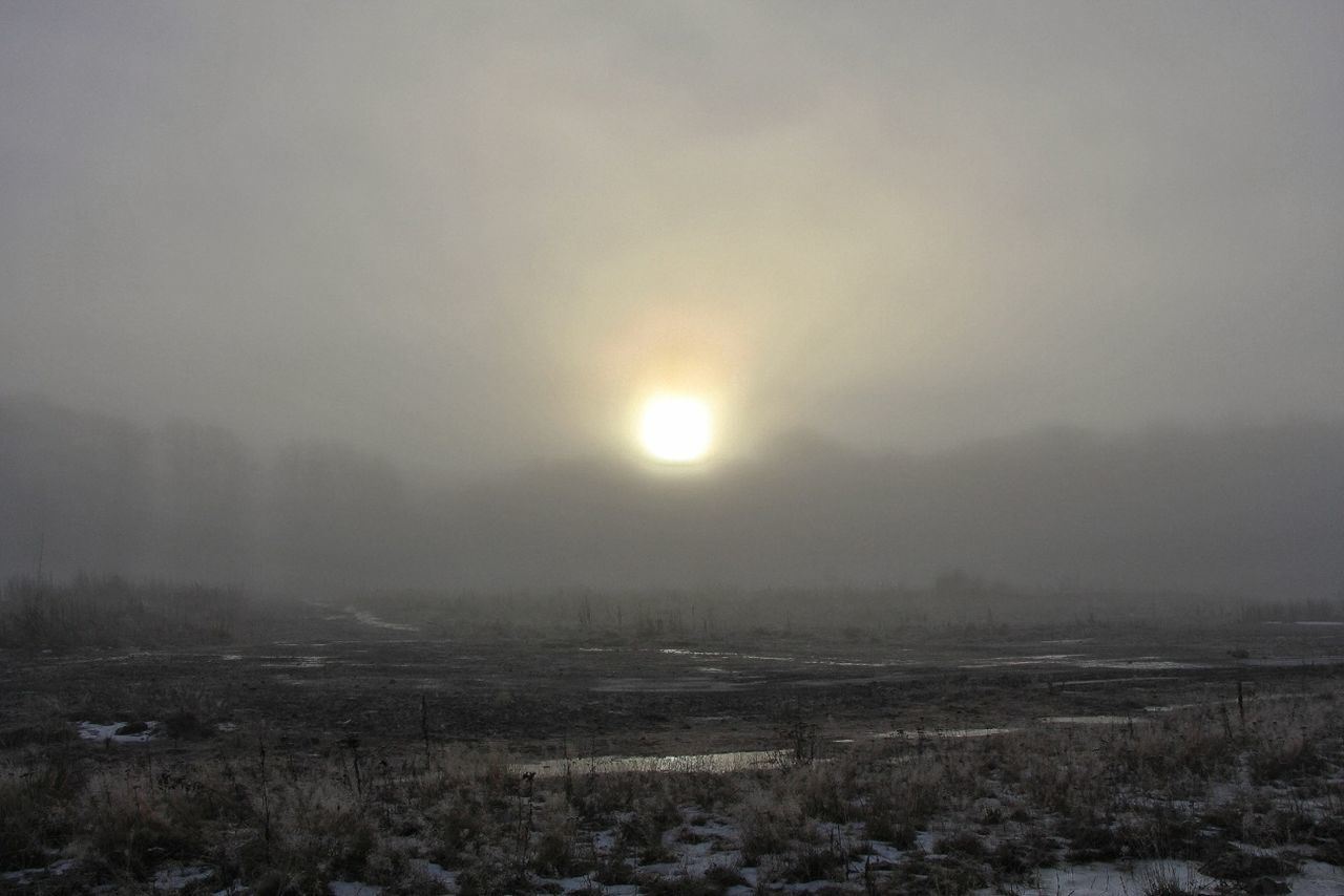 tranquil scene, tranquility, weather, scenics, fog, landscape, beauty in nature, winter, nature, cold temperature, sky, foggy, snow, sunset, field, non-urban scene, sun, idyllic, season, tree