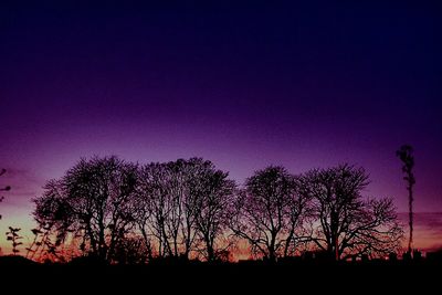 Silhouette of trees at sunset