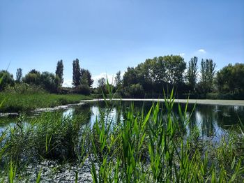 Scenic view of lake against clear sky