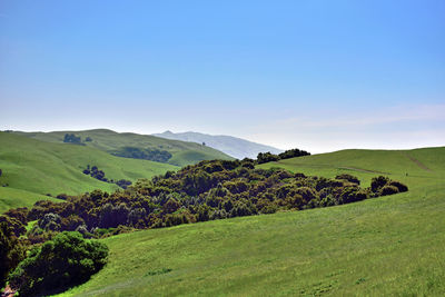 Scenic view of mountains against clear blue sky