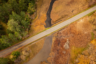 High angle view of road amidst trees in city