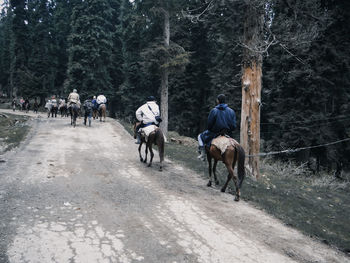 People riding horses on land