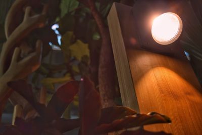 Close-up of illuminated lamp on table at home