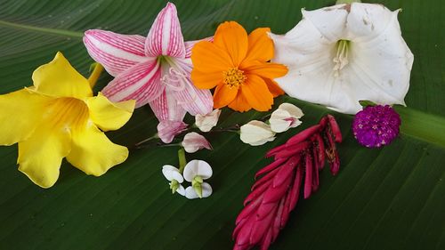 High angle view of flower bouquet