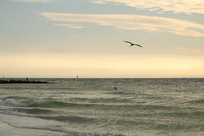 Seagulls flying over sea against sky