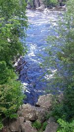 Stream flowing through rocks in forest