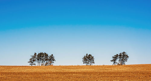 Scenic view of field against clear blue sky