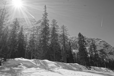 Scenic view of snow covered landscape