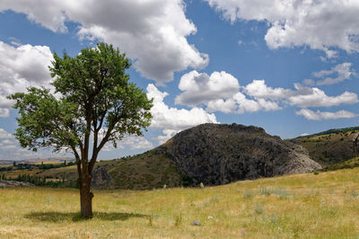 Scenic view of field against sky