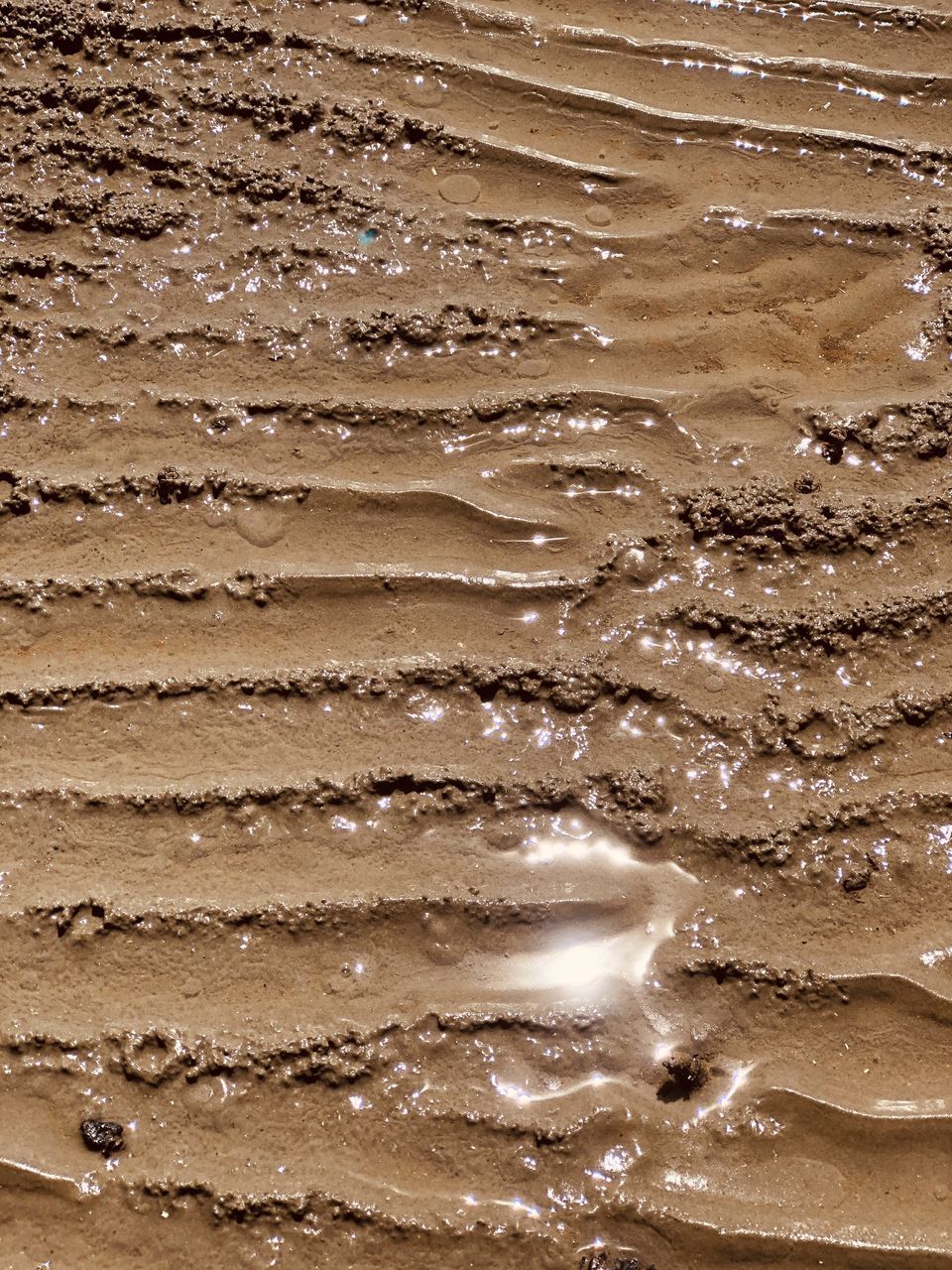 HIGH ANGLE VIEW OF WET SAND