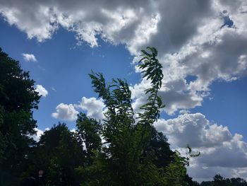 sky