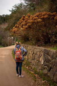 Rear view of man walking on footpath