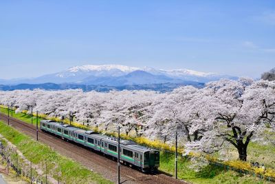 High angle view of train by trees on field against blue sky