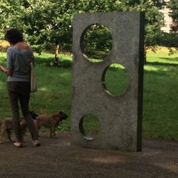 Rear view of dog walking in park