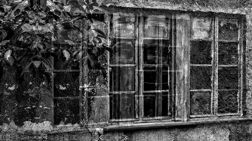 Window of abandoned building