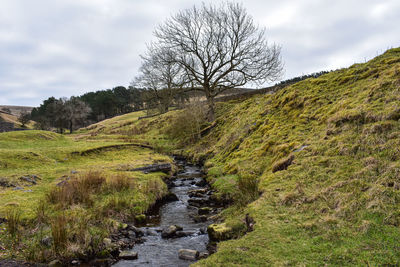 Scenic view of stream against sky