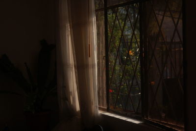 Trees seen through window