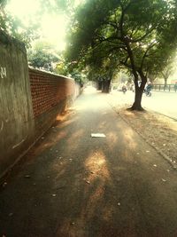 Empty road along trees