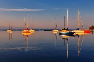 Sailboats moored in marina