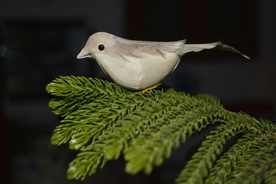 Close-up of artificial bird on plant