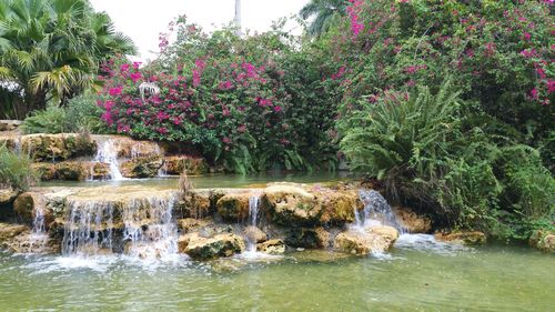 Scenic view of waterfall by rocks against trees