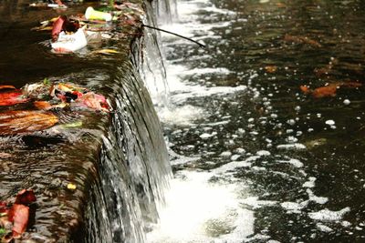 People swimming in water