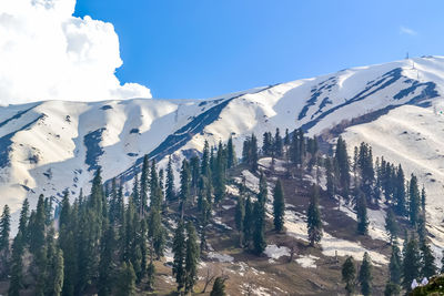 Scenic view of snowcapped himalayas mountains against sky