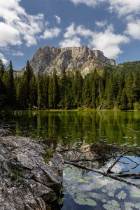 Scenic view of lake by trees against sky